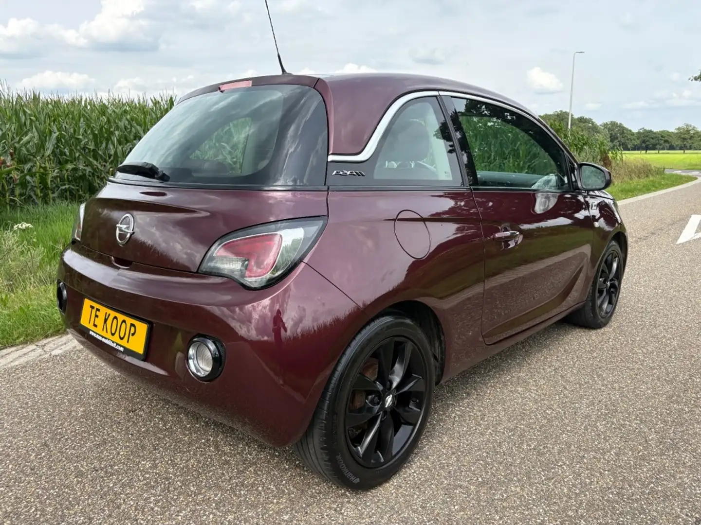 Opel Adam 1.4 GLAM / PANORAMA / CRUISE / BOMVOL Paars - 2