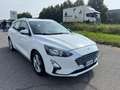 Ford Focus Focus 1.5 EcoBlue 120 CV automatico SW Business Co Bianco - thumbnail 2