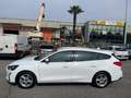 Ford Focus Focus 1.5 EcoBlue 120 CV automatico SW Business Co Bianco - thumbnail 8