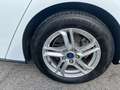 Ford Focus Focus 1.5 EcoBlue 120 CV automatico SW Business Co Bianco - thumbnail 15