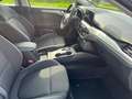 Ford Focus Focus 1.5 EcoBlue 120 CV automatico SW Business Co Bianco - thumbnail 11