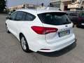 Ford Focus Focus 1.5 EcoBlue 120 CV automatico SW Business Co Bianco - thumbnail 5