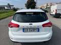 Ford Focus Focus 1.5 EcoBlue 120 CV automatico SW Business Co Bianco - thumbnail 4