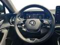 Skoda Kodiaq Selection 2.0 TDI DSG 4x4, MATRIX/KAM/AHK Schwarz - thumbnail 13