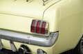 Ford Mustang V8 289 automaat overdrive Geel - thumbnail 32