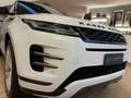 Land Rover Range Rover Evoque Range Rover Evoque 5p 2.0 td4 SE 180cv R-Dynamic Bianco - thumbnail 9