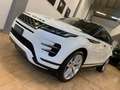 Land Rover Range Rover Evoque Range Rover Evoque 5p 2.0 td4 SE 180cv R-Dynamic Bianco - thumbnail 11