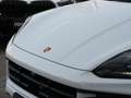 Porsche Cayenne E-Hybrid Coupé SPORTDESIGN-ACC-LUFTF.-PANO-VOLL Weiß - thumbnail 12