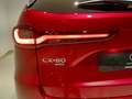 Mazda CX-80 3.3 e-Skyactiv-D MHEV Homura Plus AWD Aut. Rojo - thumbnail 19