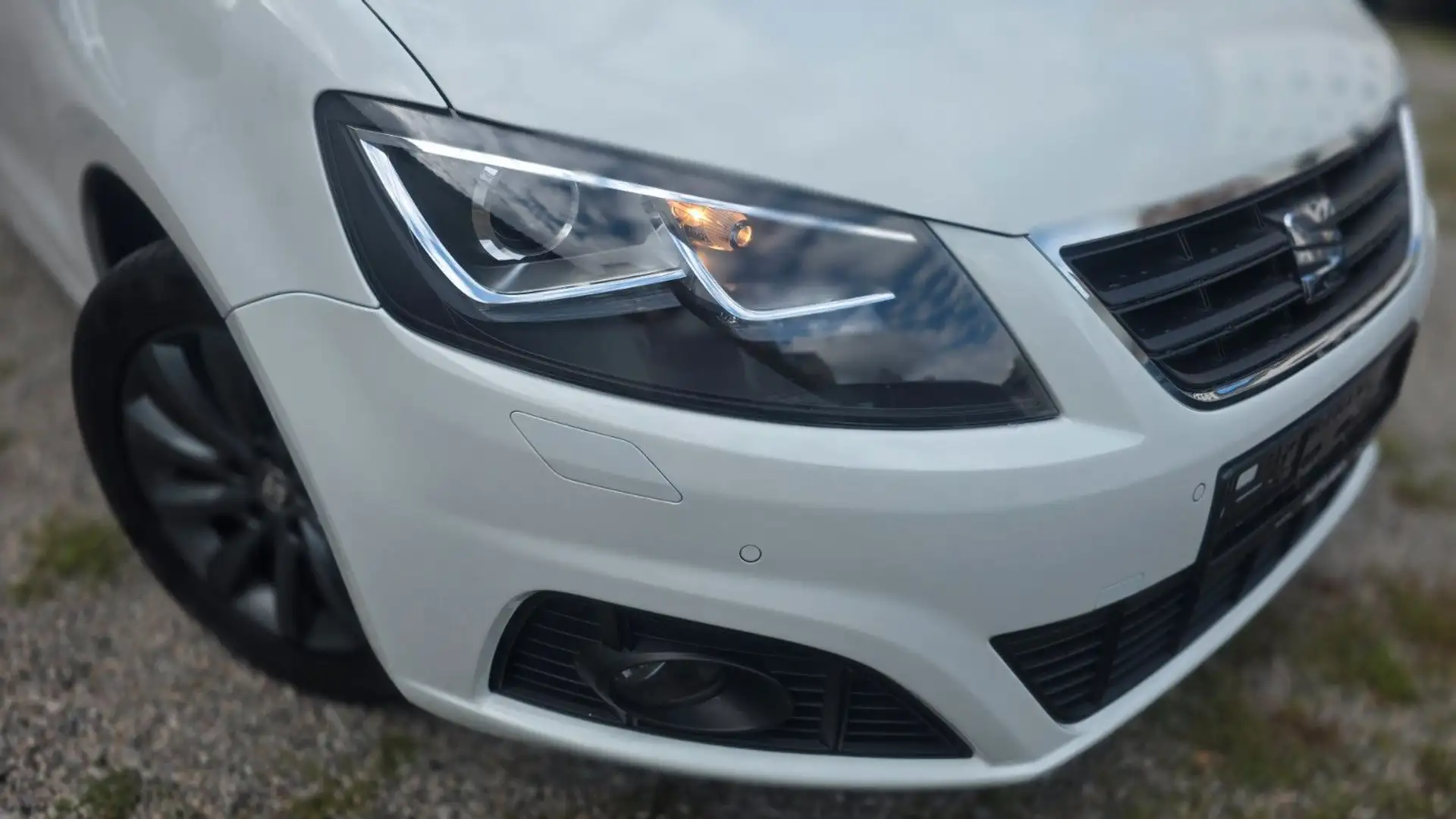 SEAT Alhambra 20th Anniversary 4Drive Weiß - 1