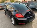Volkswagen New Beetle 1.2 Design Panoramadach Bi-Xenon Schwarz - thumbnail 2
