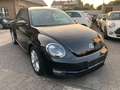 Volkswagen New Beetle 1.2 Design Panoramadach Bi-Xenon Schwarz - thumbnail 16