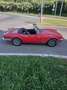 Triumph Spitfire Pelle totale - thumbnail 2