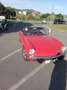 Triumph Spitfire Pelle totale - thumbnail 5