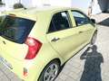Kia Picanto Picanto  5-Türer 1.0 Spirit Vert - thumbnail 3