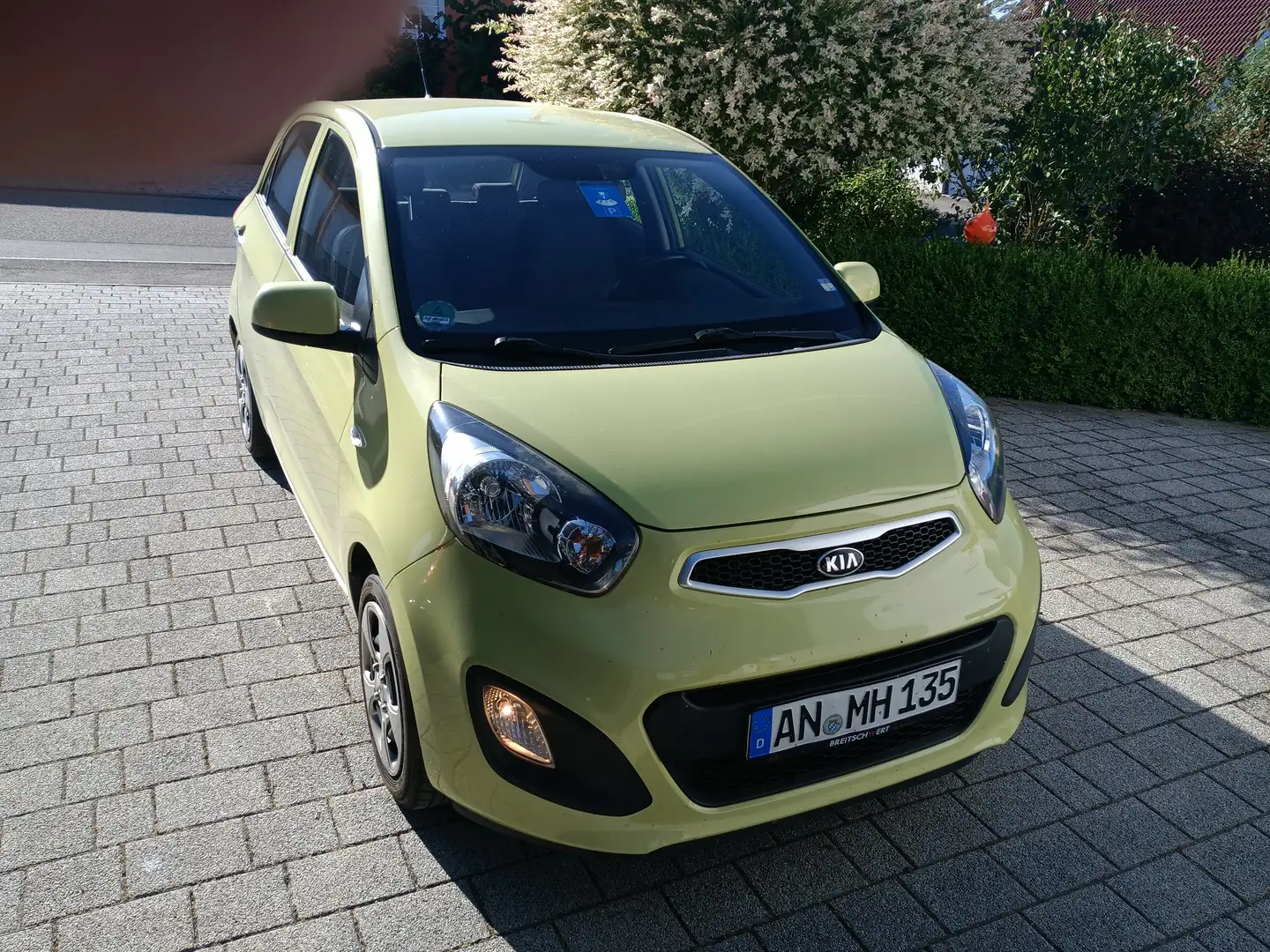 Kia Picanto Picanto  5-Türer 1.0 Spirit Vert - 2