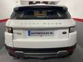 Land Rover Range Rover Evoque 2.2L eD4 Prestige 4x2 - thumbnail 5