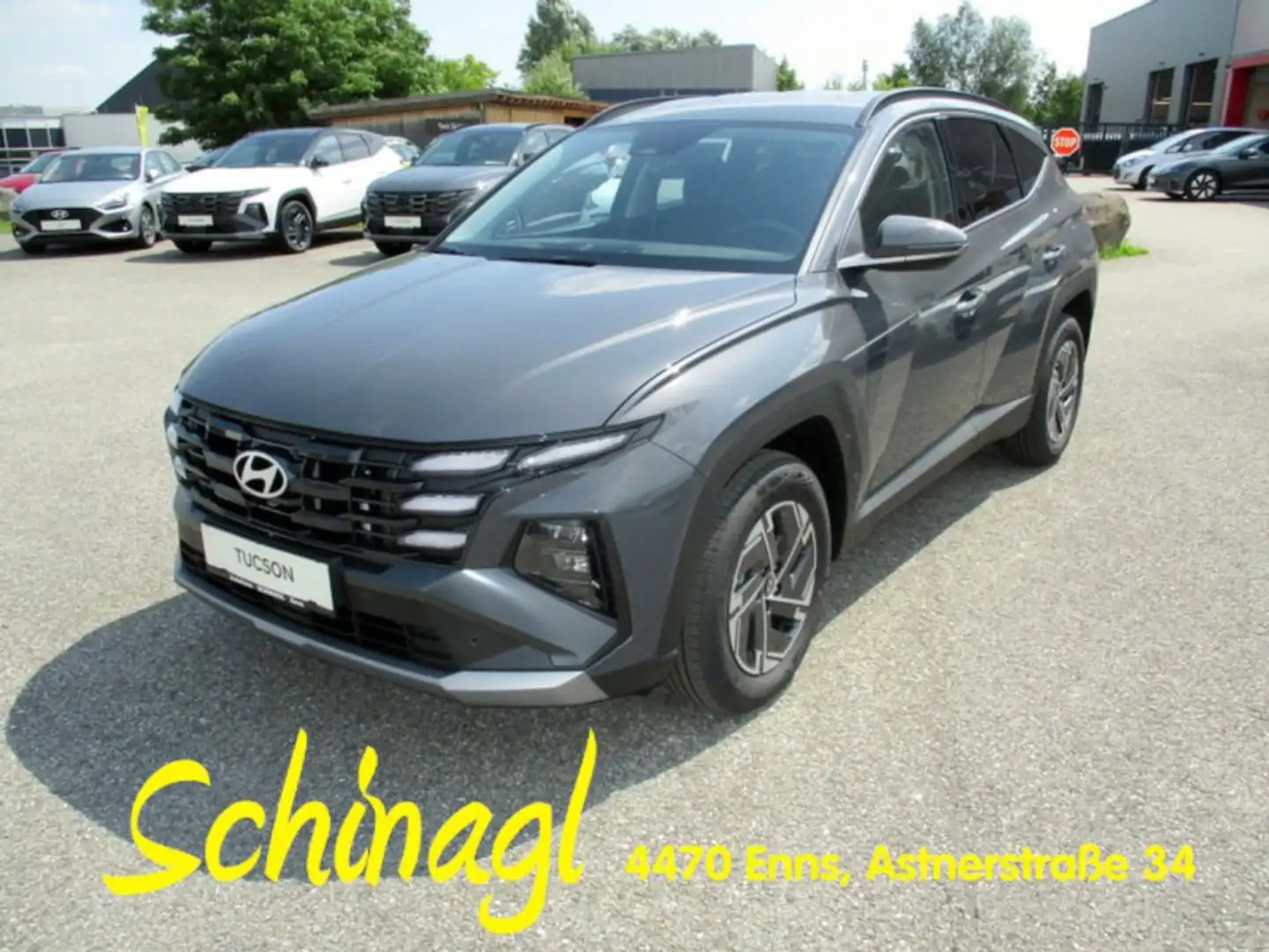 Hyundai TUCSON NX4 Jubile 1,6 T-GDi 2WD 48V t5bj1 Gris - 1
