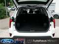 JAC Sonstige Motors PRO 7-Sitzer 360° Panoramadach LED Weiß - thumbnail 7