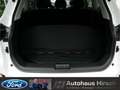 JAC Sonstige Motors PRO 7-Sitzer 360° Panoramadach LED Weiß - thumbnail 9