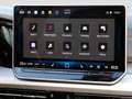 Volkswagen Golf VIII 1,5 TSI eHybrid Life 18" KAMERA LED-PLUS SH Weiß - thumbnail 13