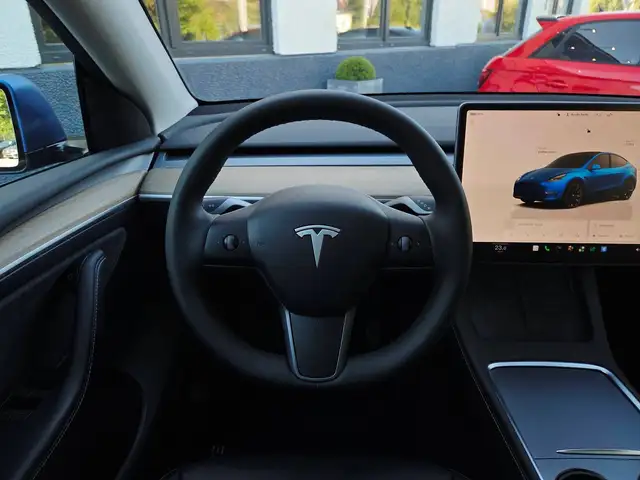 Tesla Model Y view 12