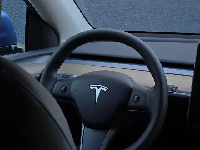 Tesla Model Y view 10