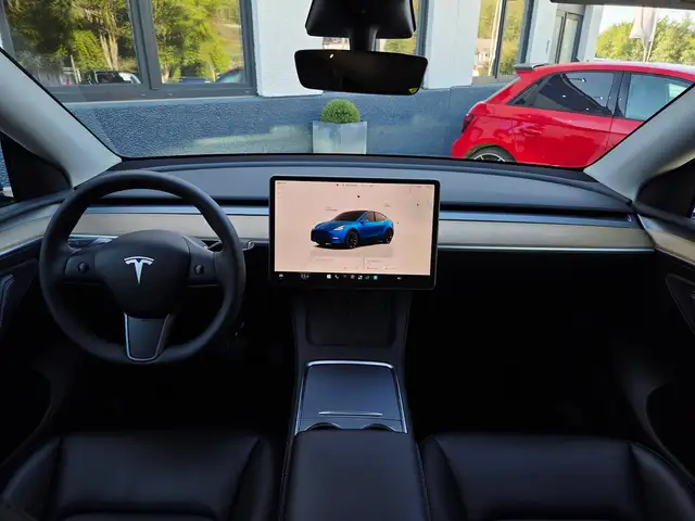 Tesla Model Y view 11