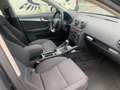 Audi A3 2.0 TDI Ambition (125kW) Automatik DSG xenon Schwarz - thumbnail 15