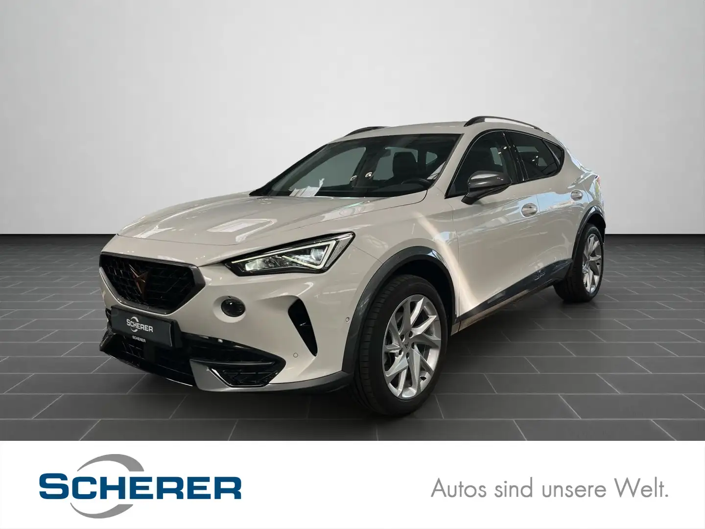 CUPRA Formentor 1.5 TSI Rückfahrkamera,Carplay Weiß - 1