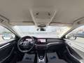 Skoda Octavia Combi Scout First Edition 4x4 DAB HUD Weiß - thumbnail 9