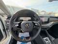 Skoda Octavia Combi Scout First Edition 4x4 DAB HUD Weiß - thumbnail 10