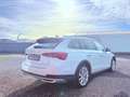 Skoda Octavia Combi Scout First Edition 4x4 DAB HUD Weiß - thumbnail 5