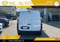 Renault Kangoo Blue dCi 115CV Express Furgone Ice Bianco - thumbnail 5