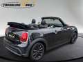 MINI Cooper Cabrio MINI Cooper Cabrio 1,5 Aut. Schwarz - thumbnail 5