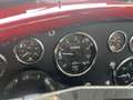Shelby Sonstige Cobra 427 S/C Continuation CSX4XXX Rot - thumbnail 13