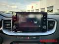 Kia XCeed Vision 1.4 T-GDI 1. Hand wenig KM Carplay Tempomat Weiß - thumbnail 12