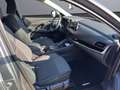 Nissan Qashqai Qashqai III  1.3 mhev N-Style 2wd 158cv xtronic Gris - thumbnail 17