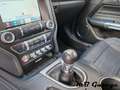 Ford Mustang 5.0 GT - MANUALE - GARANZIA FORD - T. ITALIANA Rojo - thumbnail 14