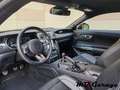 Ford Mustang 5.0 GT - MANUALE - GARANZIA FORD - T. ITALIANA Rouge - thumbnail 10