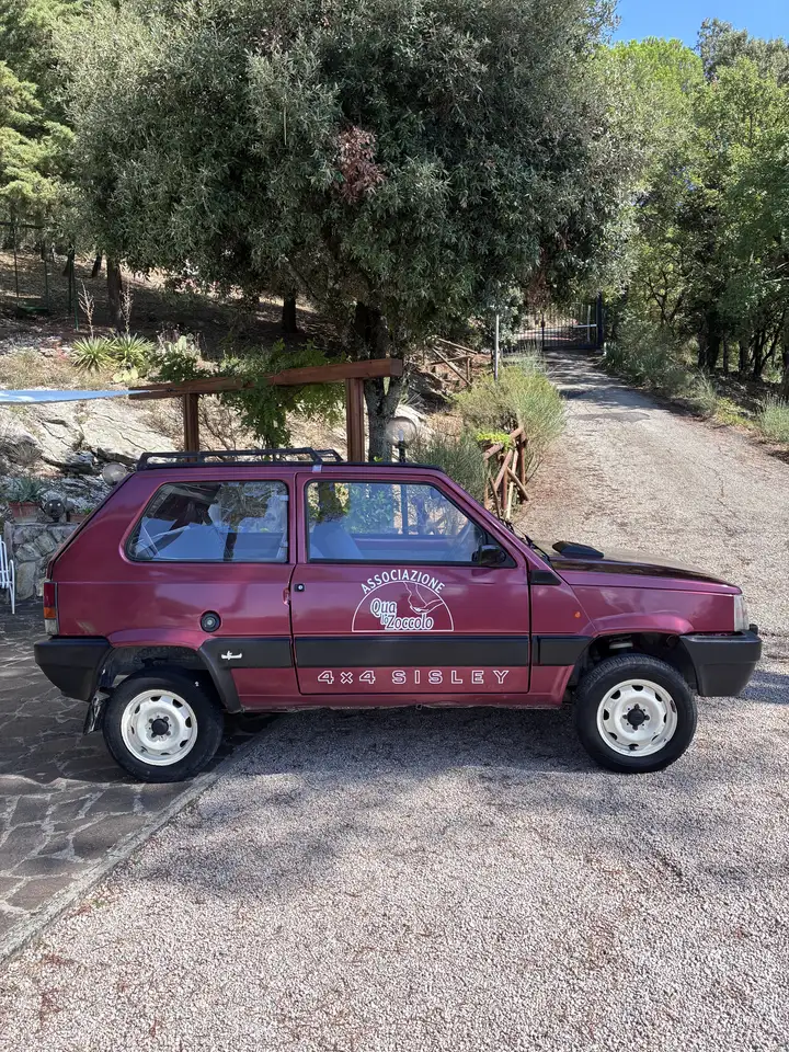 Fiat Panda 1.0 Sisley 4x4, foto 1