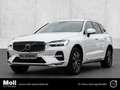Volvo XC60 Inscription 2WD B4 Diesel EU6d AHK Digitales Cockp Weiß - thumbnail 1