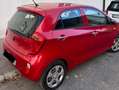 Kia Picanto Picanto  5-Türer 1.0 Spirit Rot - thumbnail 6