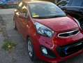 Kia Picanto Picanto  5-Türer 1.0 Spirit Rot - thumbnail 1