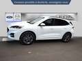 Ford Kuga 2.5 Duratec 225ch PHEV ST-Line Business BVA Blanc - thumbnail 5