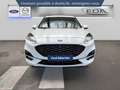 Ford Kuga 2.5 Duratec 225ch PHEV ST-Line Business BVA Blanc - thumbnail 2