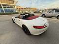 Mercedes-Benz AMG GT AMG GT Roadster 476 ch BA7 Weiß - thumbnail 18