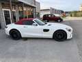 Mercedes-Benz AMG GT AMG GT Roadster 476 ch BA7 Bianco - thumbnail 5