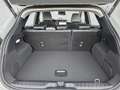 Ford Puma Gen-E 124 kW Premium FWD KeyFree Kamera Winterpaket 1... Grau - thumbnail 14