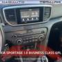Kia Sportage Sportage 1.6 ECOGPL 2WD Business Class Bianco - thumbnail 13